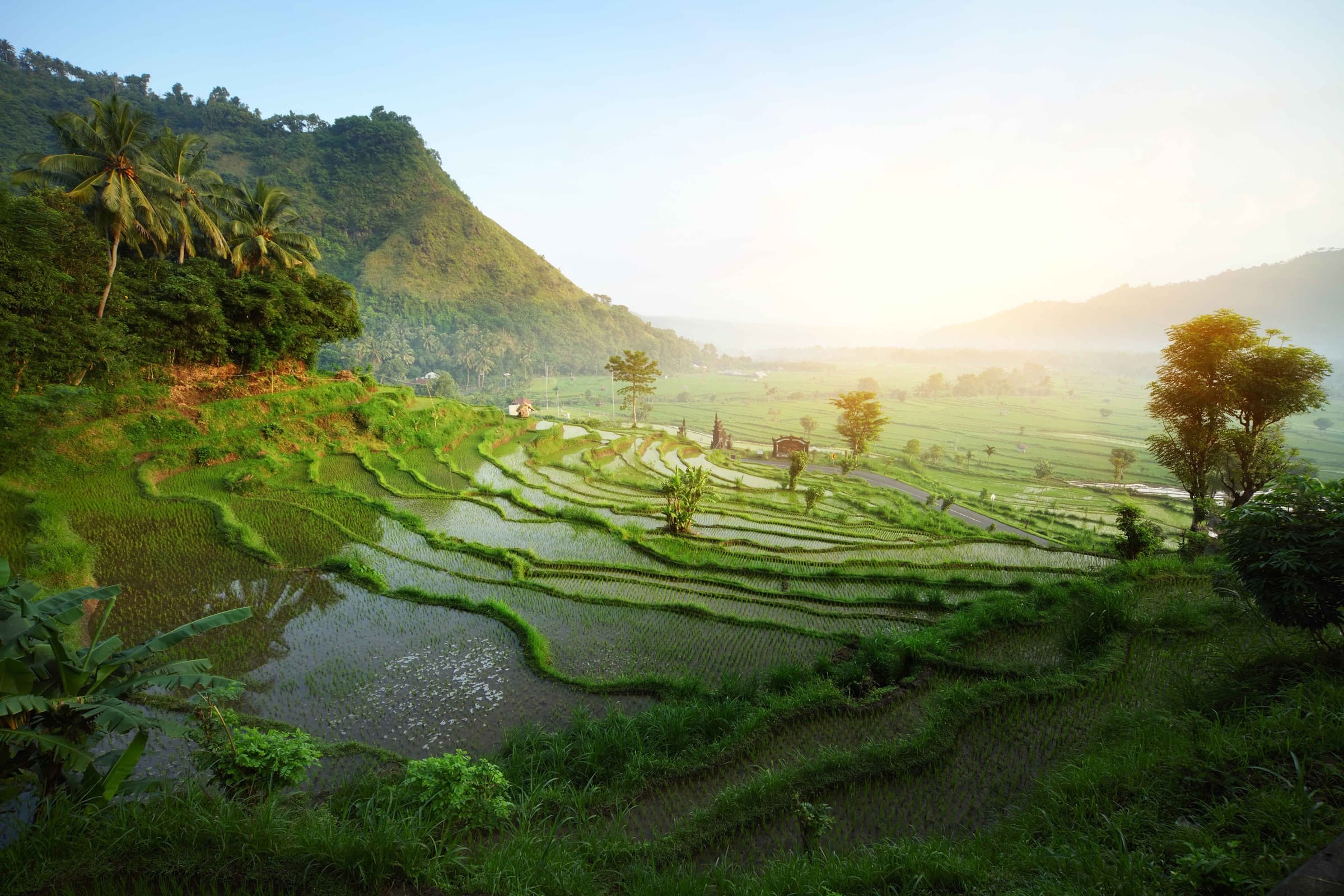 Multi-Day Tours